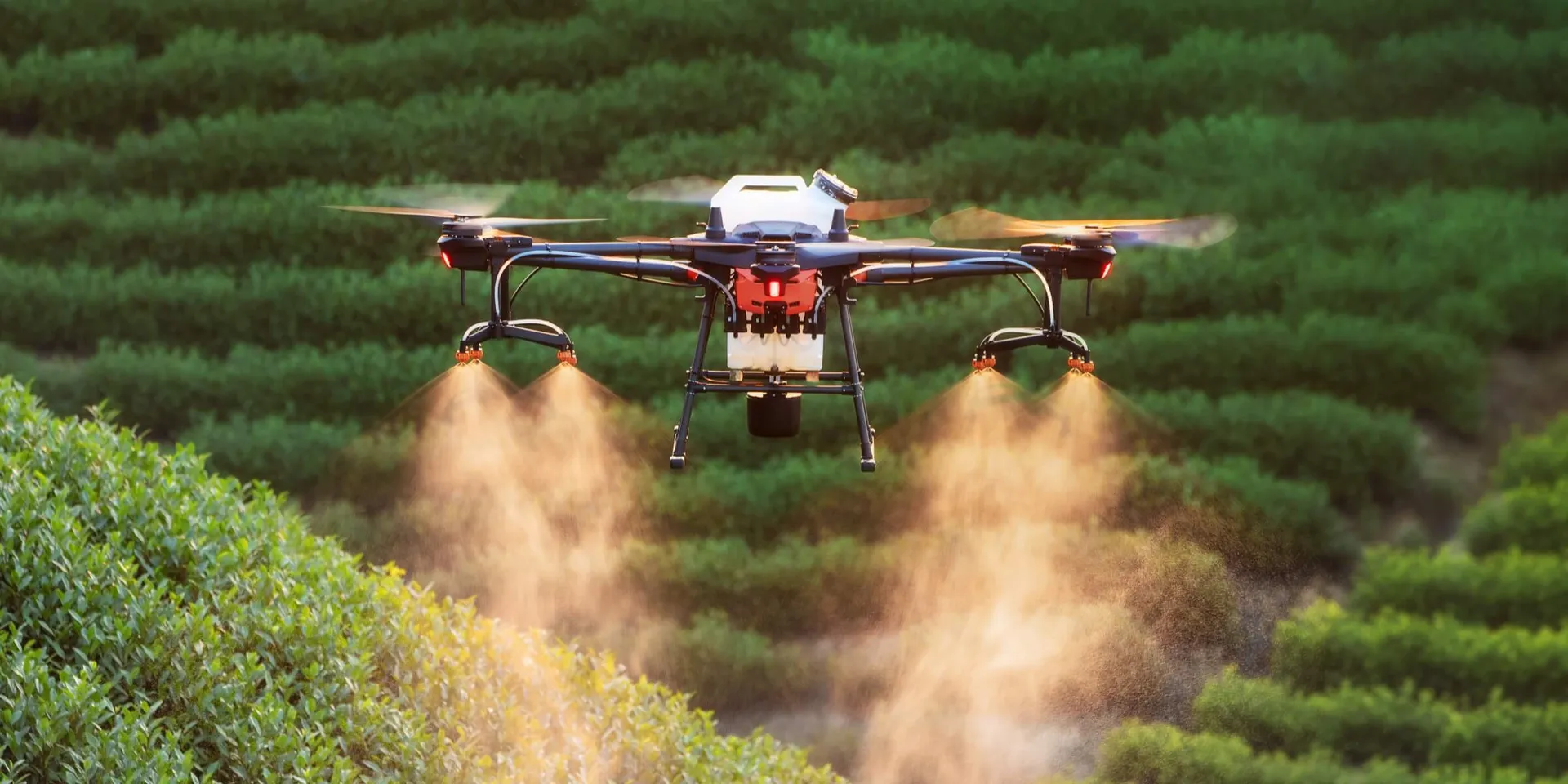Drone spraying crops over farmland